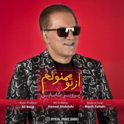 دانلود آهنگ پرویز بابایی از تو ممنونم با کیفیت 320